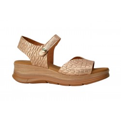 PAULA URBAN 24-726
