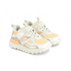 SHOO POM KOGGY SCRATCH