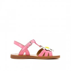 POM D'API PLAGETTE BIG FLO