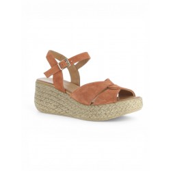 COCO ABRICOT ETAMPLES