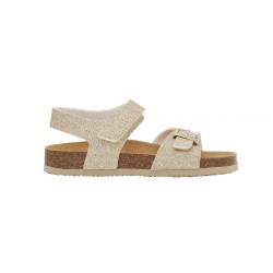 SCHOLL CORAL