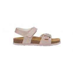 SCHOLL CORAL